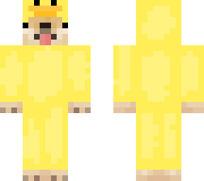 dog in a duck costume