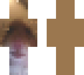hamster