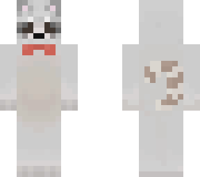raccoon  again