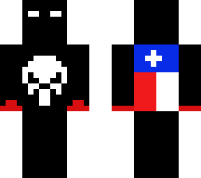 texas punisher