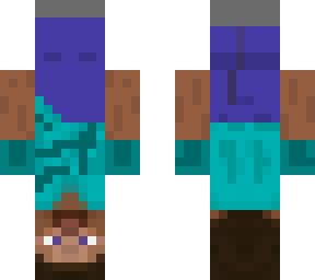 upside down steve