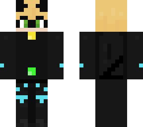 cat noir (ice form)