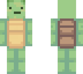 cute turtle