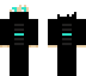 cyberninja