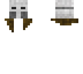 first faze of the skin