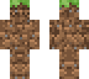 grass block skin