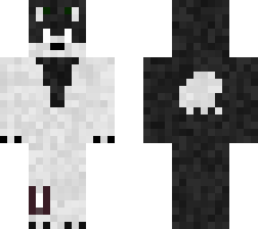 winter the black and white springlock wolf
