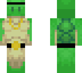 street turtle