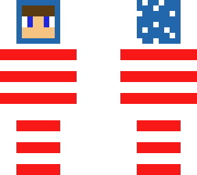 usa hoodie