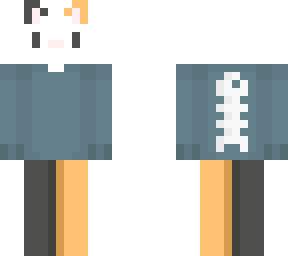 cat in jumper (with a logo)