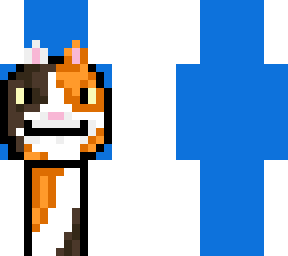 dream cat nice