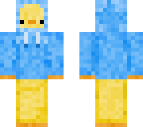 duck with sweater