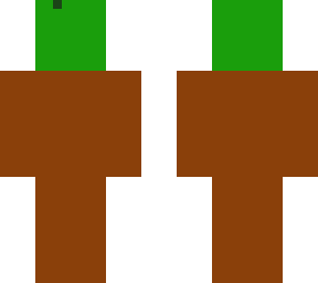 grass.....