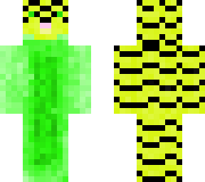 parakeet