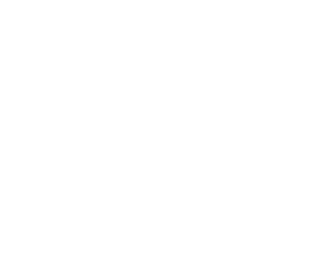 blank (1 pixel!)