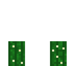 cactus... attempt...