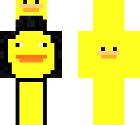 dream duck