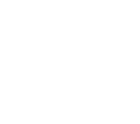 hollo illusion