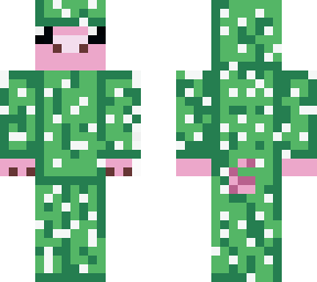 pigtus
