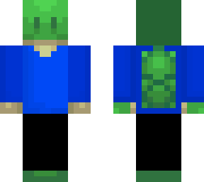 turtle gamrr skin