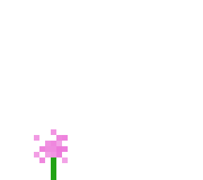 baby flower