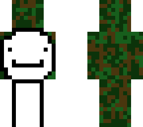 camouflaged dream