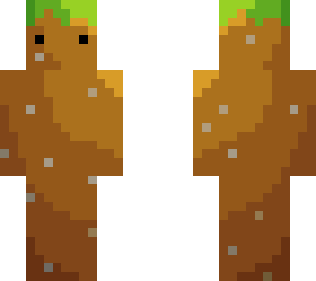 dirt dude