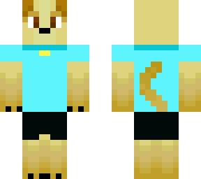 girl labrador