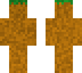 modified dirt skin