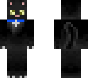 my cat