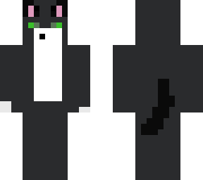 my cat
