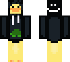 sweater duck with turtle