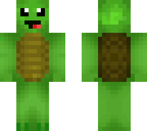 turtle