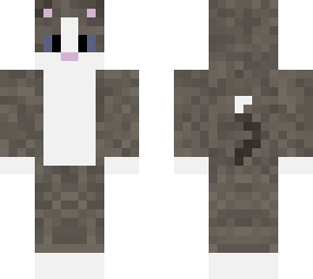 cool kitty