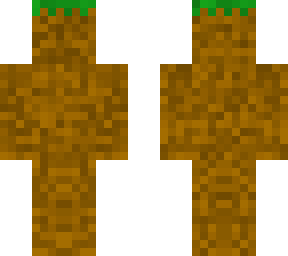 dirt