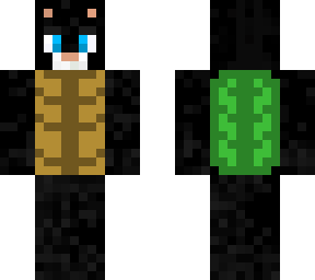 turtle cat