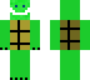 turtle dude