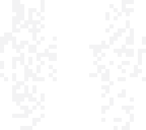 white spots