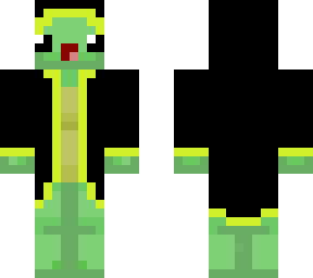 wizard turtle