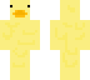 2 in one skin