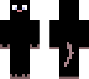 black cat