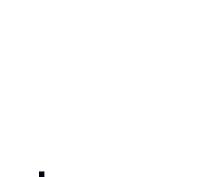 black dot