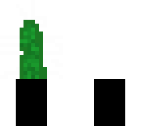 catus man