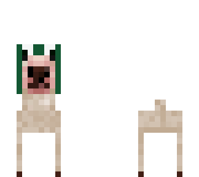 frog hat walter 2d skin