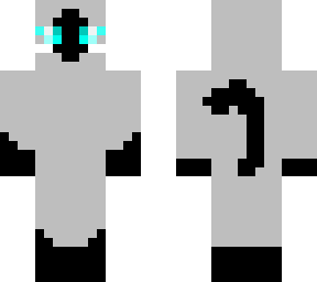 siamese cat