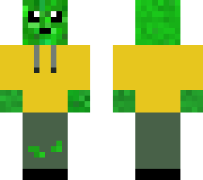 turtle with yellow hodie