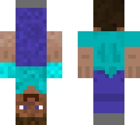 upside down steve.