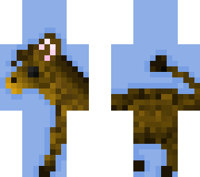 animal contest