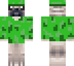 army pug
