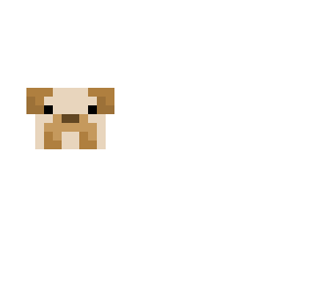 cool pug